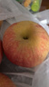 正宗山东红富士苹果丑苹果新鲜水果当季脆甜冰糖心苹果嘎啦果 净重5斤70mm+ 实拍图