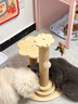 HELLOJOY猫抓板猫爬架一体耐磨不掉屑剑麻抓柱耐抓逗猫棒猫咪玩具自嗨解闷 实拍图