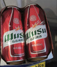 乌苏啤酒（wusu）双口味混合装（红500ml*12罐+楼兰500ml*6罐)整箱装婚宴 实拍图