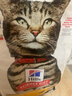 希尔思Hill‘s幼猫粮3.5磅 希尔斯猫粮进口幼年期全价猫主粮1-4月12月 幼猫3.5磅全新升级款 实拍图