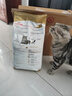 皇家猫粮 美短成猫粮 ASA31 通用粮 12月以上 4.5KG 实拍图
