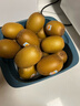 佳沛（zespri）新西兰  阳光金奇异果10粒礼盒巨大果单果约144-175g 水果 猕猴桃 实拍图