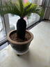 绿盼 绿盼40#花盆托盘大号带万向轮可移动接水底座 实拍图