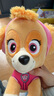 汪汪队立大功（PAW PATROL）汪汪队玩具毛绒全套狗狗玩偶公仔男女孩玩具旺旺队圣诞礼物 经典款-天天公仔【需选尺寸】 中号-坐或站高约17~22.9CM 实拍图