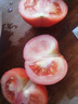 番茄约500g 实拍图