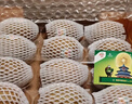 佳沛（zespri）新西兰  阳光金奇异果16粒礼盒经典果单果约 77-103g 水果 猕猴桃 实拍图