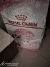 皇家幼猫猫粮 幼猫奶糕 K36 通用粮 4-12月 10KG 实拍图