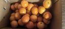 京鲜生 广西砂糖橘 净重4.5斤 单果35-45mm  生鲜水果 源头直发包邮 实拍图