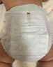 babycare金山茶花拉拉裤XL34片(12-17kg)婴儿尿不湿超薄透气新生柔花苞裤 实拍图