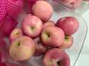 京鲜生 山东栖霞红富士苹果精品12粒 单果190g-240g  水果礼盒 实拍图