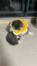 华元宠具（hoopet）狗狗伊丽莎白圈项圈小型犬宠物猫咪颈圈脖圈头套猫伊利沙白圈头罩 实拍图