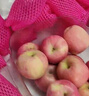 京鲜生 烟台红富士苹果 净重5斤  单果190g起 水果礼盒 实拍图