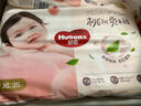 好奇（Huggies）铂金装小桃裤成长裤XL96片(12-17kg)加大号尿不湿【透爽散热】 实拍图