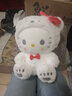 网红变身白熊玉桂狗公仔 变身kitty猫玩偶 KT猫布娃娃抱枕礼物女 变身kitty猫 S码27厘米(现货速发) 实拍图