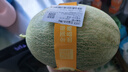 北纬23°西州蜜瓜约1.3kg 实拍图