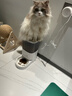 霍曼（Homerun）Real智能自动喂食器猫粮狗粮定时猫咪自动投食器（配陶瓷碗） 实拍图