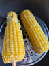 十月稻田 黄糯玉米 3.52斤(220g*8根) 25年新玉米 东北玉米 早餐 低脂粗粮 实拍图
