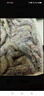 渔游记（YUYOUJI）鲜冻国产青岛大虾25-30只/斤净重3.6斤大虾对虾青虾海虾生鲜 虾类 实拍图