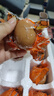 麻酱鸡蛋起沙流油咸淡适中鲜鸡蛋真空即食早餐生鲜鲜鸡蛋制作 10枚 实拍图