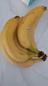 黄胖子进口香蕉650g 实拍图