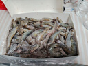 万景 北海鲜冻白虾 国产白虾 单冻无冰净重4斤 100-120只 家庭聚餐  实拍图