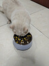 HELLOJOY不锈钢宠物食盆狗碗猫狗碗食盆水粮两用宠物碗喂食器 灰色 实拍图