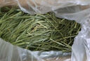 喜帅 精品烘干提摩西草500g 提草荷兰猪龙猫兔子磨牙牧草饲料兔草主粮 实拍图