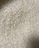 十月稻田 2025年新米 绿色食品 五常大米 10斤（香米 东北大米 5公斤） 实拍图