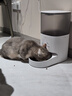 霍曼（Homerun）Real智能自动喂食器猫粮狗粮定时猫咪自动投食机（不锈钢碗） 实拍图