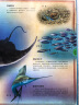 科学放大镜：蓝色海洋 实拍图
