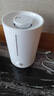 米家 小米加湿器2卧室轻音家用办公室桌面迷你空气加湿上加水大容量加湿器MJJSQ06DY 实拍图