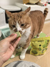 MamyPets猫草冻干猫草粒猫咪猫草片化毛排毛球饼干鱼油棒美毛猫薄荷猫零食 实拍图