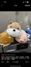 名创优品（MINISO）白熊趴姿公仔毛绒玩具抱枕靠垫卧室办公室午睡枕生日礼物 升级版 实拍图