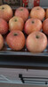 京地达洛川苹果水果陕西红富士节日送礼净重8.5斤单果80mm源头直发包邮 实拍图