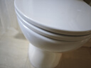 九牧（JOMOO）11173-2-1/31KD-3大力神家用马桶虹吸抗菌节水洁具305坑距 实拍图