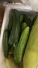 京喜加新鲜无刺水果小黄瓜小青瓜脆甜荷兰脆嫩生吃黄瓜蔬菜 水果黄瓜 2斤 带箱活动 实拍图