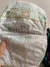 babycare金山茶花婴儿纸尿裤mini装M26片(6-11kg)尿不湿透气【新老混发】 实拍图