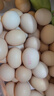 1号会员店富硒鲜鸡蛋30枚 源头直发 净重3斤 实拍图