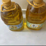 苍茫谣（CangmangYao）【保真菜籽油】金奖芥花油非转基因物理压榨低芥酸5L食用油农垦 实拍图