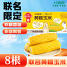 十月稻田 黄糯玉米 3.52斤(220g*8根) 25年新玉米 低脂粗粮 早餐 联名款 实拍图