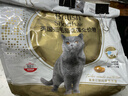 皇家猫粮 英短成猫粮 BS34 通用粮 12月以上 10KG 实拍图