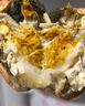 【活蟹】蟹宗大闸蟹鲜活螃蟹河蟹现货全母3.5-3.8两8只去绳足重水产生鲜海鲜礼品礼盒 实拍图