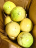 广西钦蜜9号黄金百香果万澄当季新鲜大果黄皮果奶茶店水果 【1斤 约11-17个】单果30-45g 实拍图