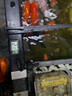 鱼缸温度计水族专用高精度电子数显测水温计冰箱空调冷柜养殖通用 探头数显温度计-1米-黑色 实拍图