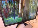 晶瑞特 17-32英寸超清显示器HDMI高清直面曲面台式电脑监控器游戏电竞高刷商务设计办公家用壁挂 19英寸 显示器 VGA+HDMI双接口 实拍图
