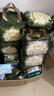 babycare金山茶花婴儿拉拉裤mini装L码20片(9-14kg)尿不湿【新老混发】 实拍图