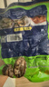 江船长 冷冻鲍鱼 净重160g(10-15粒)袋装 火锅烧烤食材 海鲜生鲜  实拍图