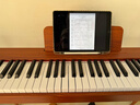 贝琪（Betsy）B351电钢琴88键重锤成人儿童电子钢琴家用练习初学者专业考级钢琴 B350-标准88键木纹棕+圆腿支架 实拍图