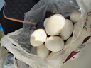 百世富泽（BAISHIFUZE）【百世富泽】黄河滩大鹅蛋新鲜正宗土鹅蛋农家自养孕妇超大鹅蛋 12枚130-150克 实拍图