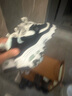 斯凯奇（Skechers）新年礼物女鞋春季蕾丝熊猫鞋厚底增高百搭休闲运动经典复古老爹鞋 黑色/白色/BKW 37 尺码偏大，建议选小半码 实拍图